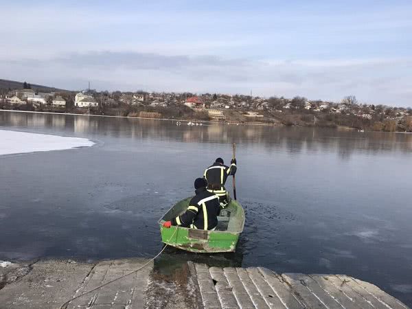 В Одесской области спасатели освободили лебедей, застрявших на льду на озере