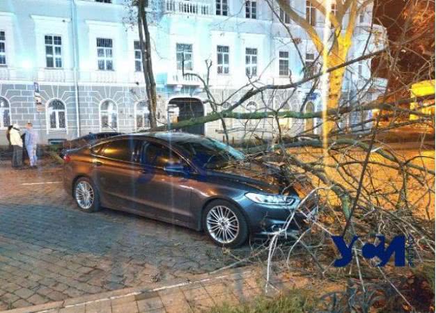 В центре Одессы упавшее дерево разбило три автомобиля