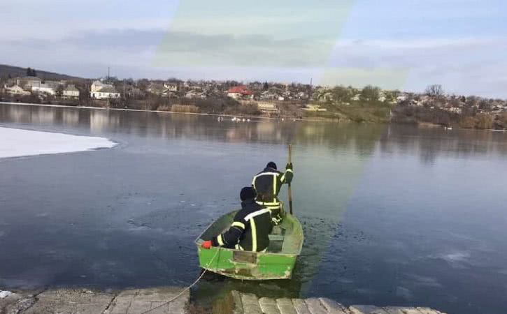 Сотрудники ГСЧС в Одесской области спасли лебедей (фото)