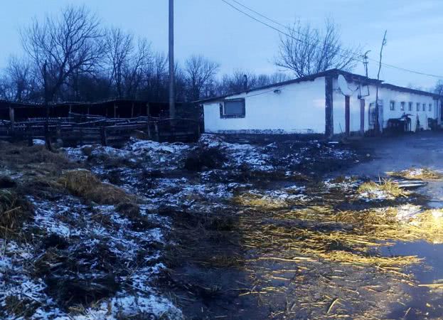 Пожежа на півдні Одеської області — згоріло 15 тонн сіна
