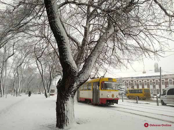 Снегопад: в Одессе общественный транспорт курсирует в штатном режиме (фото)