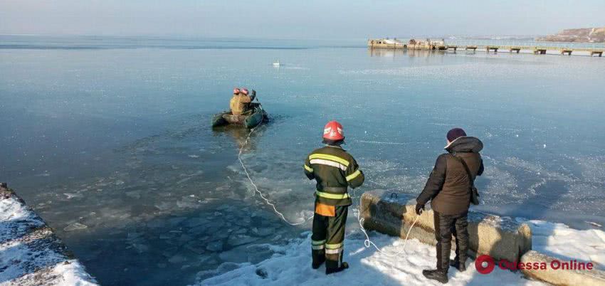 В Одесской области спасатели из ледяных ловушек освободили двух лебедей
