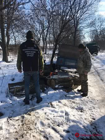 В Одесской области сгорел автомобиль «черных» лесорубов