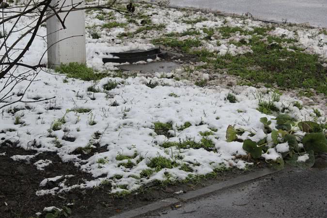 Бессарабию за ночь усыпало снегом: фоторепортаж из Килии, Измаила и Аккермана