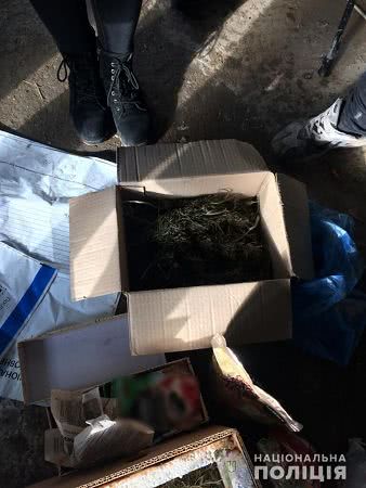 Трое жителей Болградского района были пойманы на незаконном хранении наркотиков и оружия. Фото