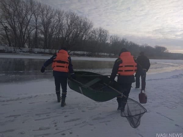 Одесские спасатели спасли лебедя из ледяного плена