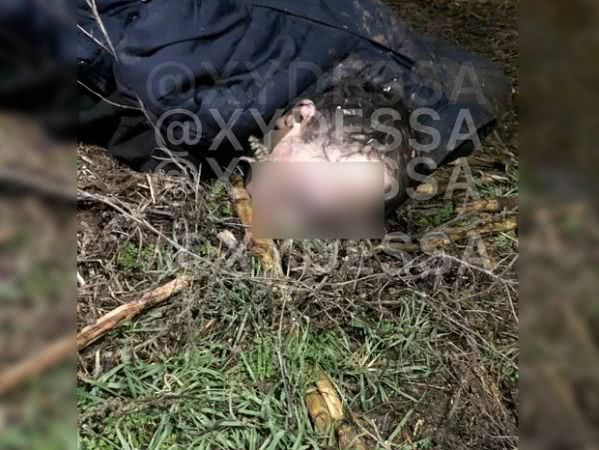 В с. Иваново Одесского района произошло убийство