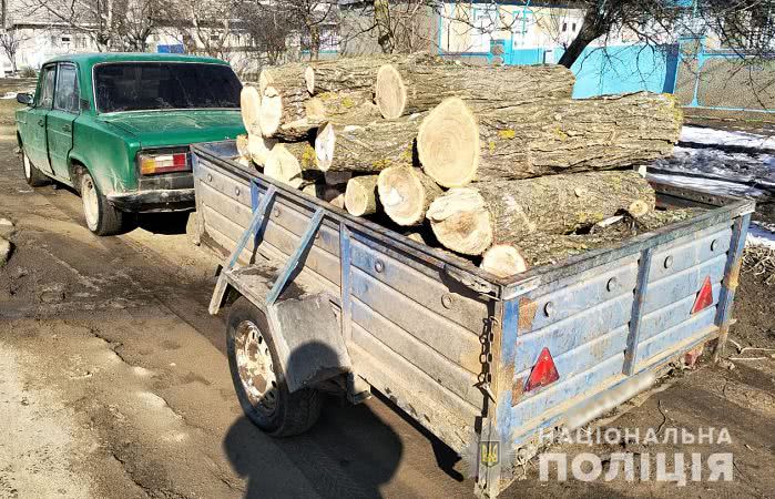 Двое жителей Белгород-Днестровского района были пойманы при нелегальной перевозке древесины