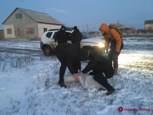 В Одесской области мужчина застрелил хаски