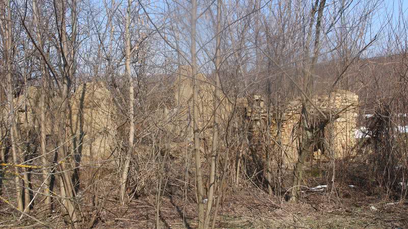 Одесская область: село Ревова оказалось в числе вымирающих