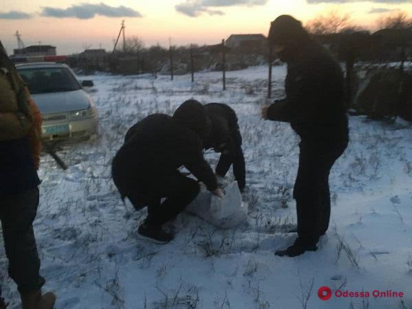 В Одесской области мужчина застрелил хаски