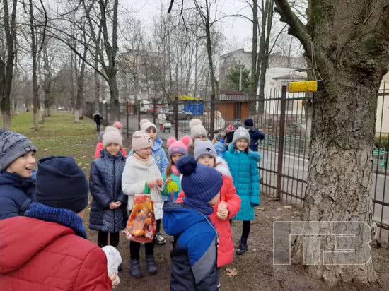Ученики школы Черноморска соорудили кормушки для птиц