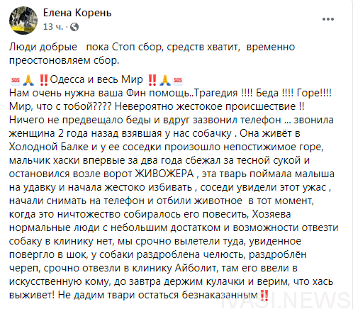 Под Одессой еле живую собаку вырвали из рук живодера (видео)
