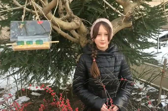 Пятиклассники черноморской школы установили кормушки для птиц (видео)