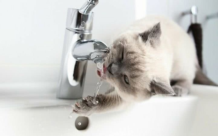 Плановое отключение воды 8 февраля в Черноморске