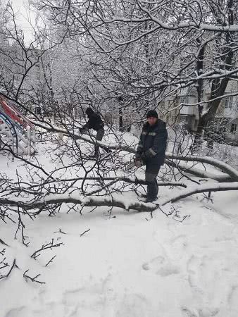 В результате снегопада в Черноморске пострадало 64 дерева
