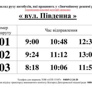 В Белгороде-Днестровском льготников будут перевозить в общественном транспорте по графику