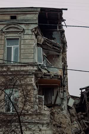 img_7343-squashed.jpg