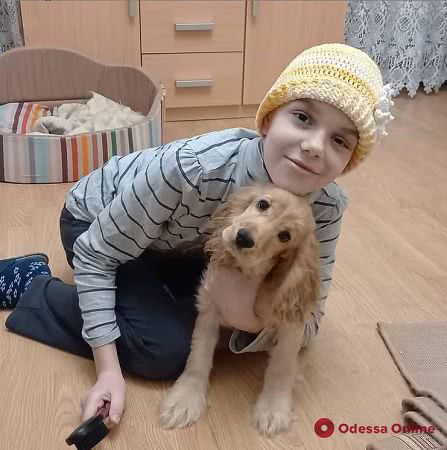 Пострадавшую в ДТП на Разумовской 11-летнюю девочку выписали из больницы