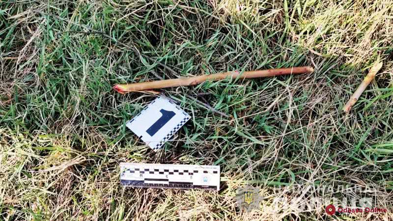 В Измаиле двое мальчиков избили до смерти бездомного из-за булочек