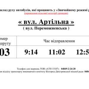 В Белгороде-Днестровском льготников будут перевозить в общественном транспорте по графику