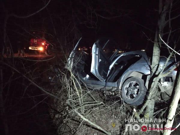 На трассе Одесса — Кучурган автомобиль въехал в дерево: водитель погиб (фото)