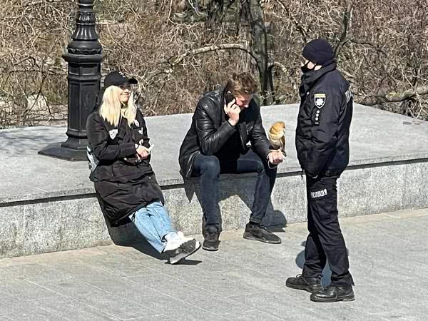 В Одесі активісти намагалися вилучити червонокнижних сов у “підприємців”