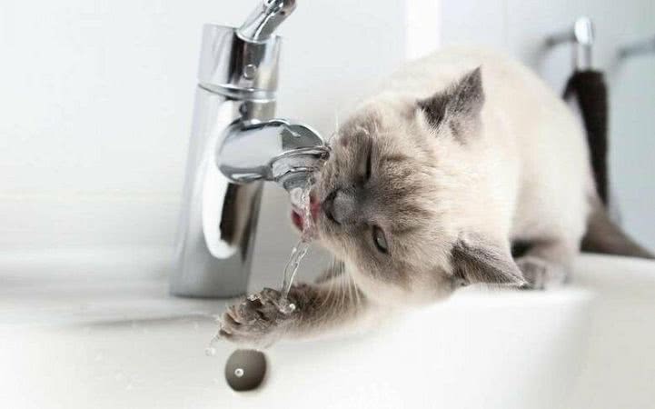 Плановое отключение воды 2 марта в Черноморске