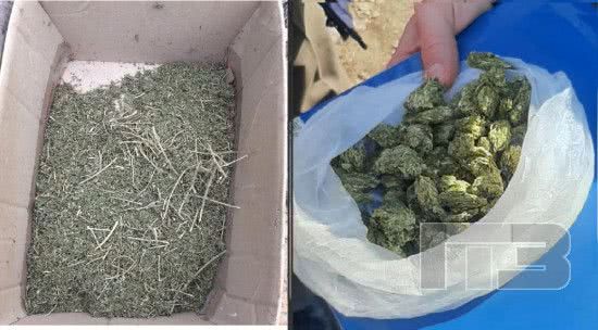 В Одесской области задержали троих мужчин за хранение марихуанны