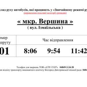 В Белгороде-Днестровском льготников будут перевозить в общественном транспорте по графику