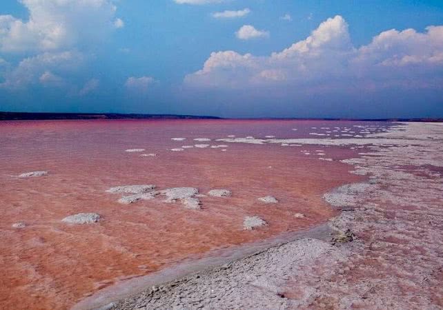 Куяльник хотят спасать водами Хаджибейского лимана