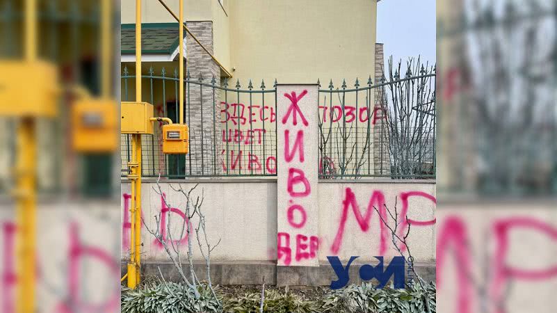 Дело об убийстве кота под Одессой: полиция открыла производство в отношении активистов