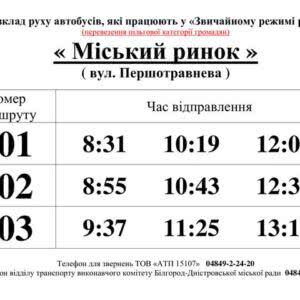 В Белгороде-Днестровском льготников будут перевозить в общественном транспорте по графику