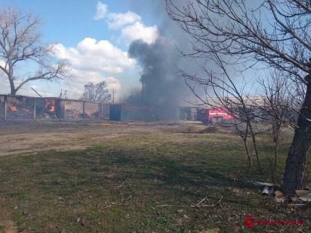 В Одесской области тушили пожар