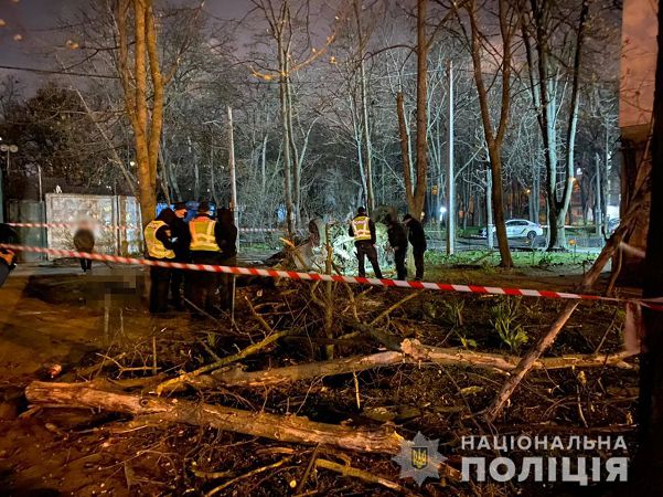 Смертельное ДТП в Одессе: автомобиль слетел с дороги и врезался в дерево. Фото