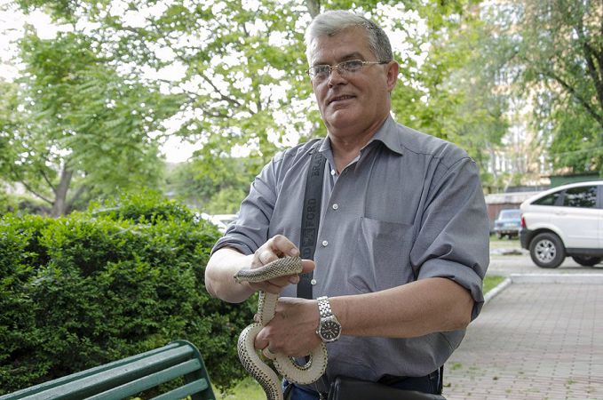 Соседство людей и змей в Одесской области обещает стать еще более тесным