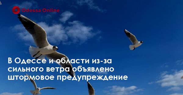 В Одессе и области из-за сильного ветра объявлено штормовое предупреждение