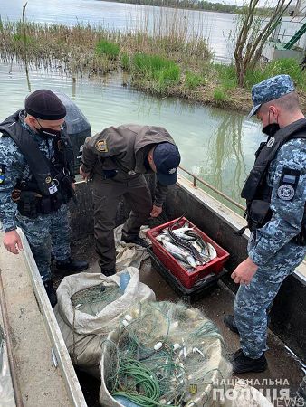 В Одесской области браконьеры ловили краснокнижных осетров