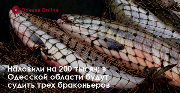 Наловили на 200 тысяч: в Одесской области будут судить трех браконьеров