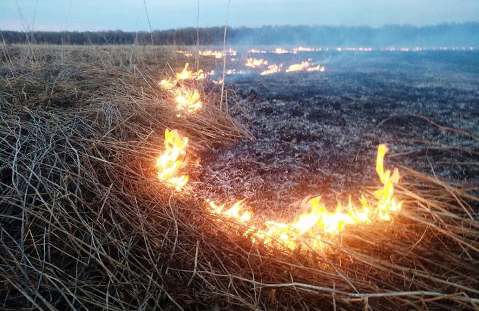В Одесской области объявили чрезвычайный уровень пожарной опасности
