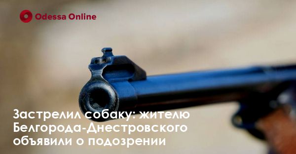Застрелил собаку: жителю Белгорода-Днестровского объявили о подозрении