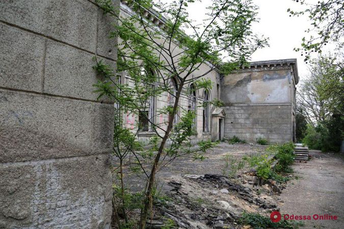 Заросли бурьяна и много мусора: руины сгоревшего Дома культуры в Черноморке (фоторепортаж)