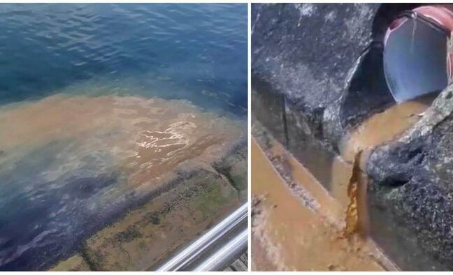 В Затоке вместо канализации сливают нечистоты прямо в море