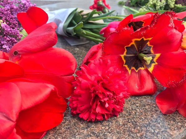 В Одессе празднуют День Победы: море цветов и благодарных ветеранам горожан