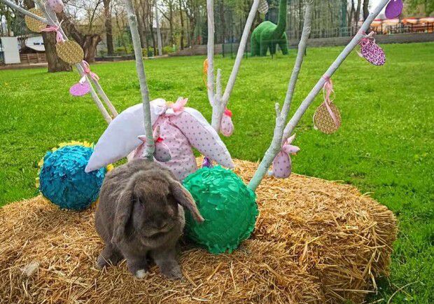 Одесский зоопарк традиционно подготовил сюрпризы к пасхальным праздникам