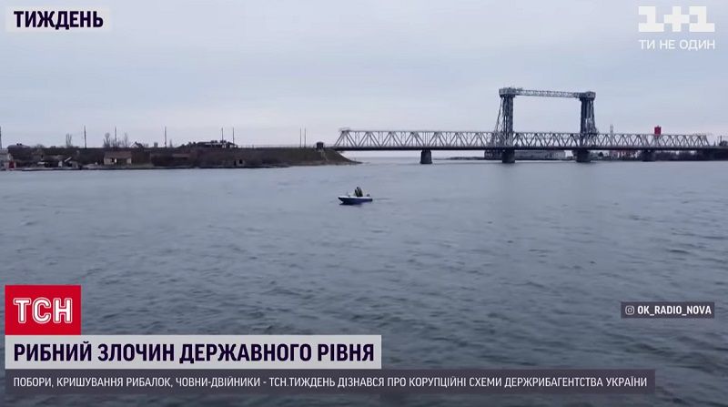 Уничтожение и дерибан: как те, кто должен контролировать рыбный промысел, «крышуют» браконьеров в Одесской области