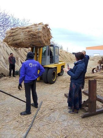 Камыш из Белгород-Днестровского района экспортируют в страны ЕС