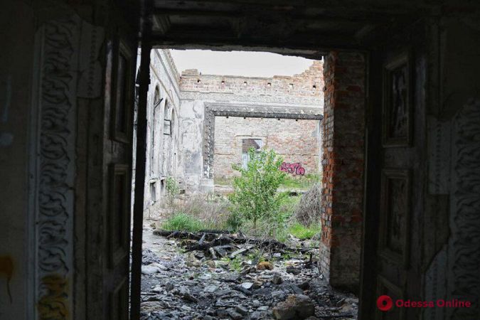 Заросли бурьяна и много мусора: руины сгоревшего Дома культуры в Черноморке (фоторепортаж)