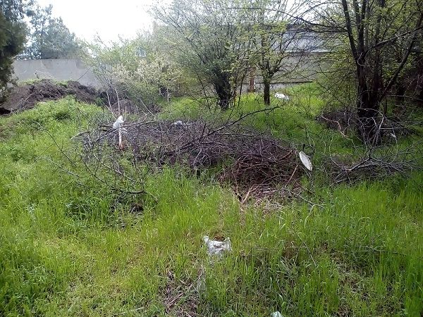 В Арцизе появляются нелегальные мусорные полигоны (фотофакт)