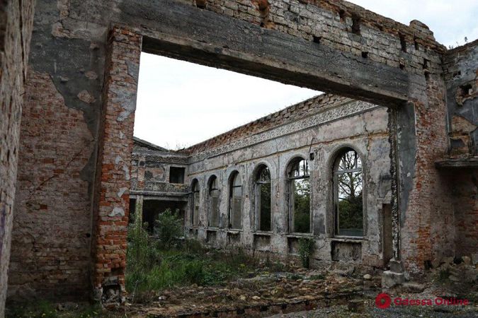 Заросли бурьяна и много мусора: руины сгоревшего Дома культуры в Черноморке (фоторепортаж)